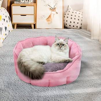 The 5 Top Rated Cat Beds for 2024 Key Shareshare Tweetshare By Karen Anderson