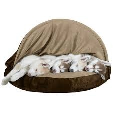 5 of the best cat beds for your feline: Prices, models, pros and cons