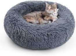 The Complete Cat Supplies List: Cat Beds, Fountains, Feeders, Food and Litter